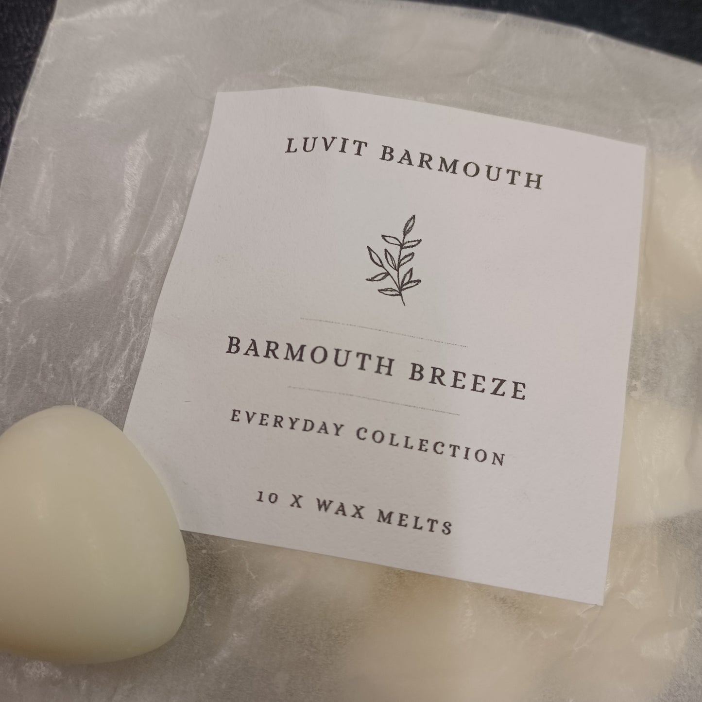 Barmouth Breeze Wax Melts