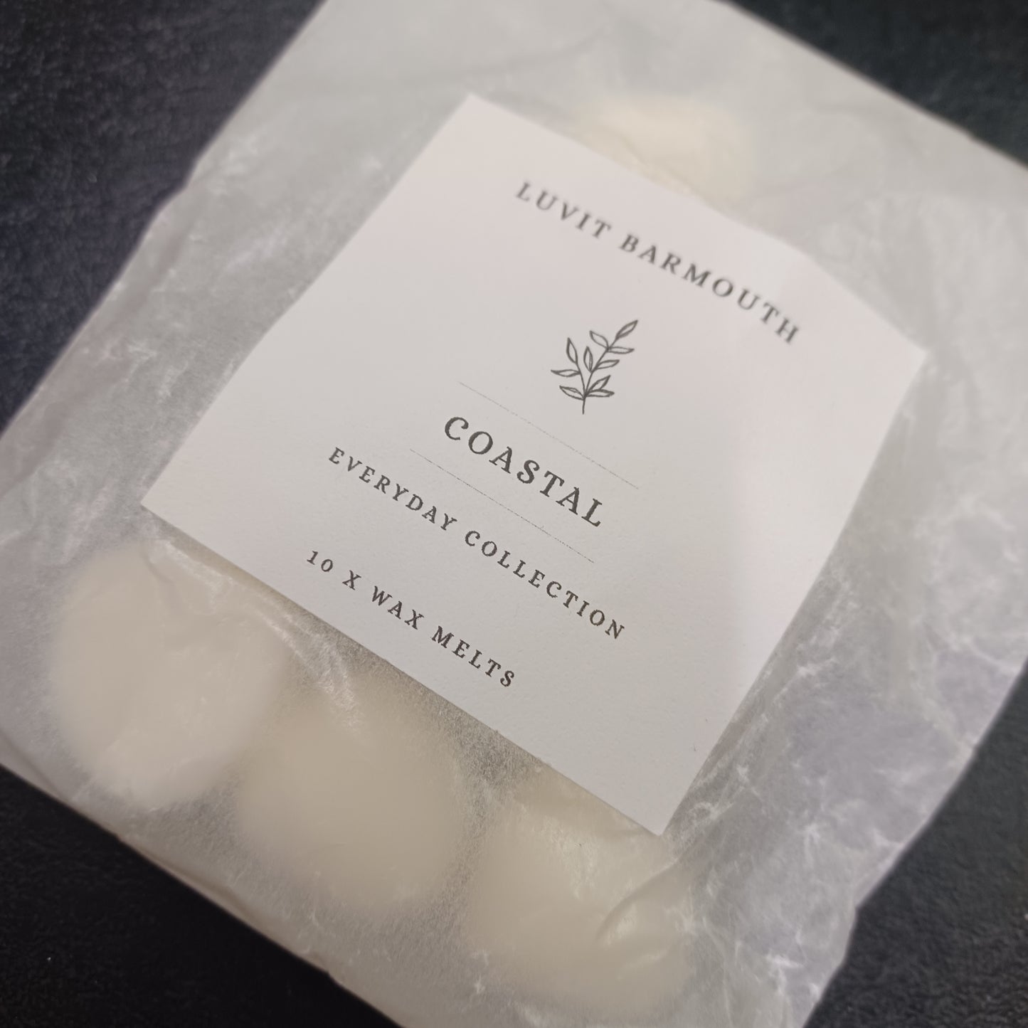 Coastal Wax Melts