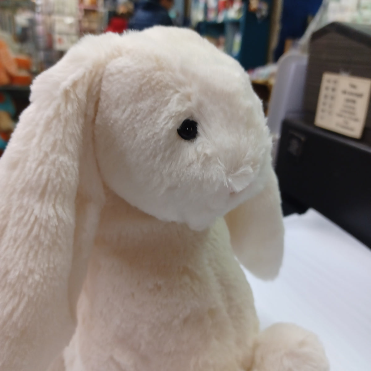 Jellycat Bashful Cream Bunny